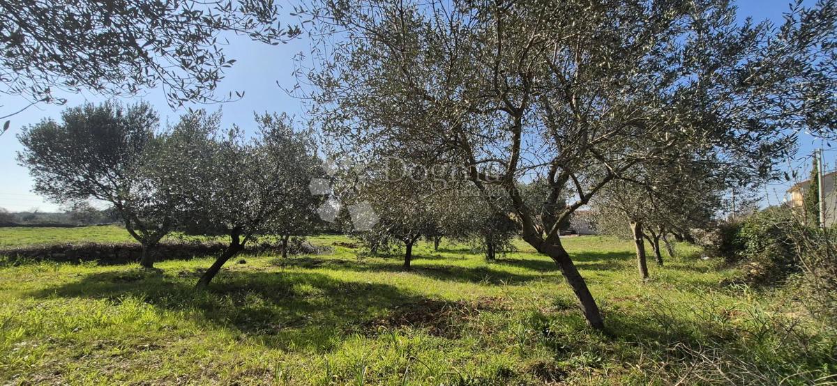 Terreno edificabile Peruški, Marčana, 492m2