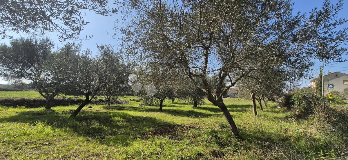 Terreno edificabile Peruški, Marčana, 492m2