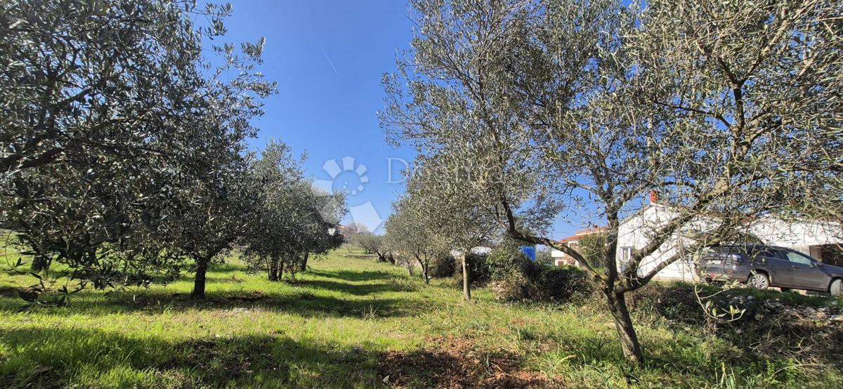 Terreno edificabile Peruški, Marčana, 492m2