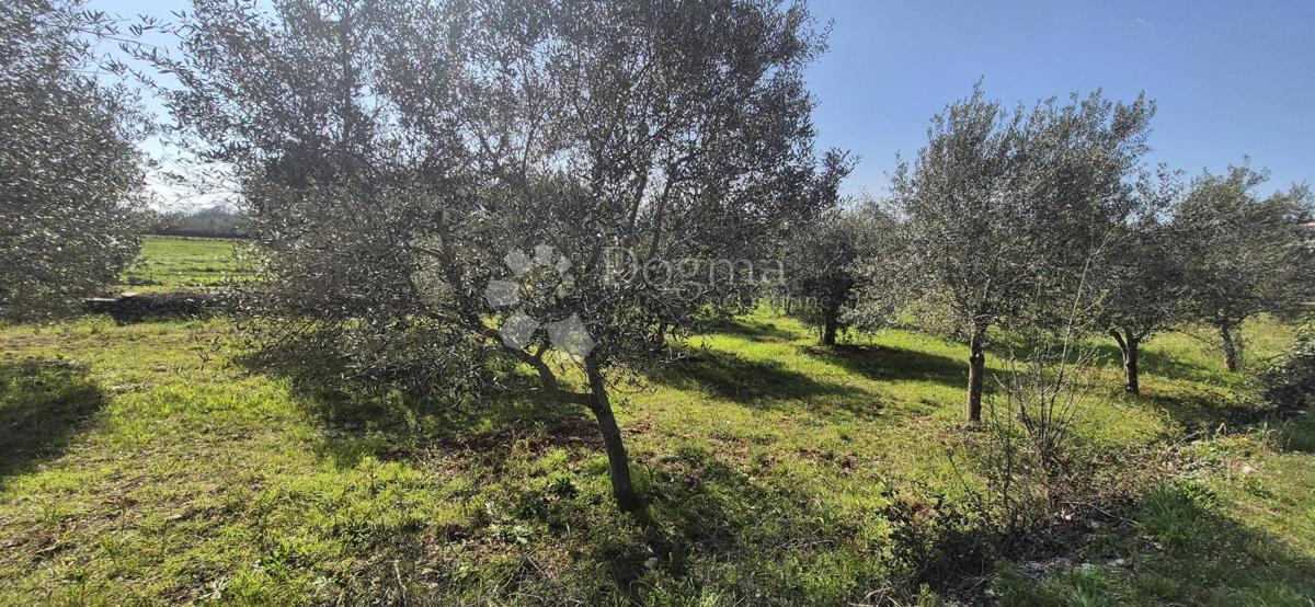 Terreno edificabile Peruški, Marčana, 492m2