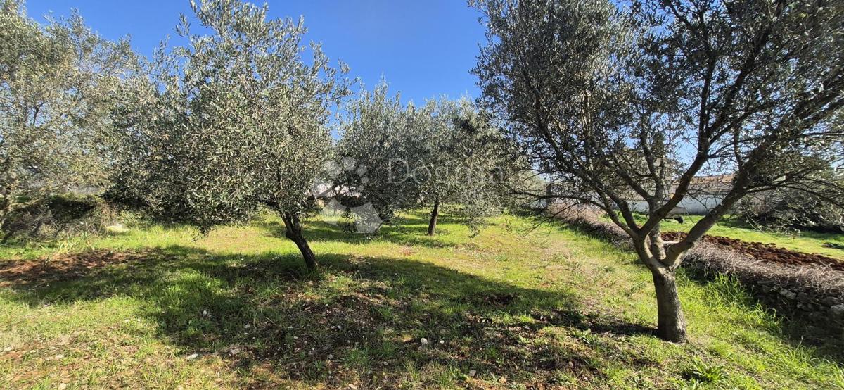 Terreno edificabile Peruški, Marčana, 492m2