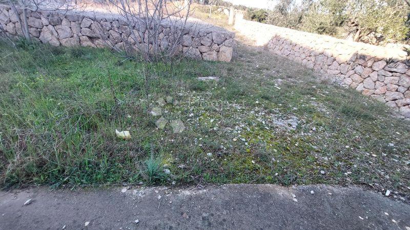 Casa Sveti Filip i Jakov, Sveti Filip I Jakov, 320m2