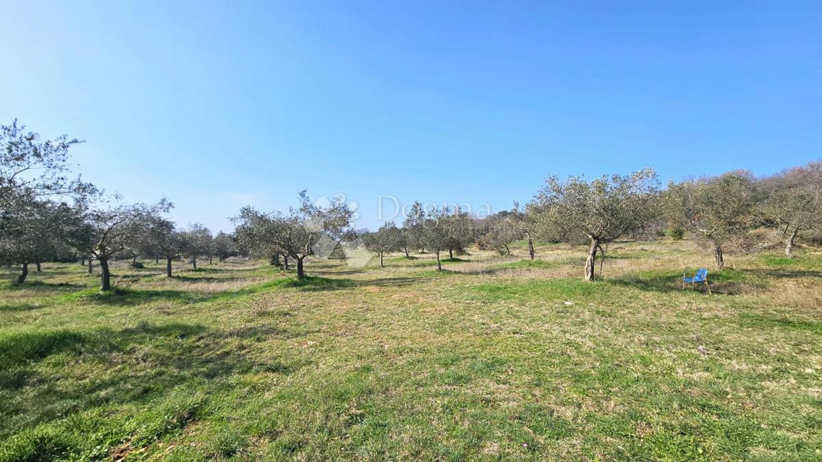 Terreno agricolo Rovinj, 19.838m2