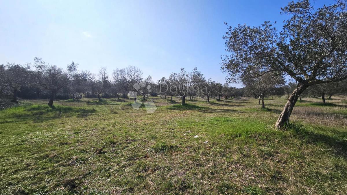 Terreno agricolo Rovinj, 19.838m2
