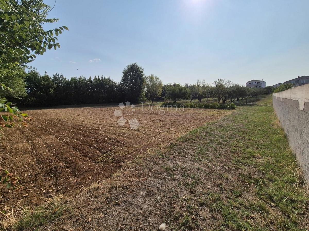 Terreno edificabile Vrsi, 1.252m2