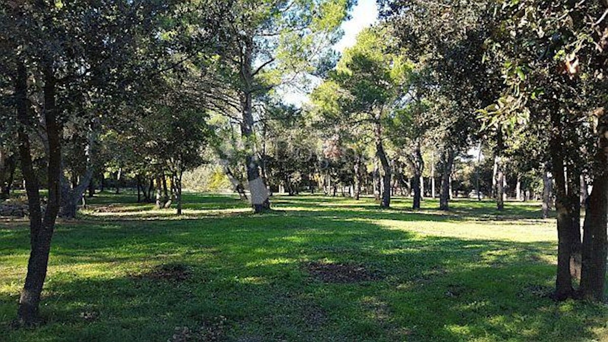 Terreno Rovinj, 12.050m2