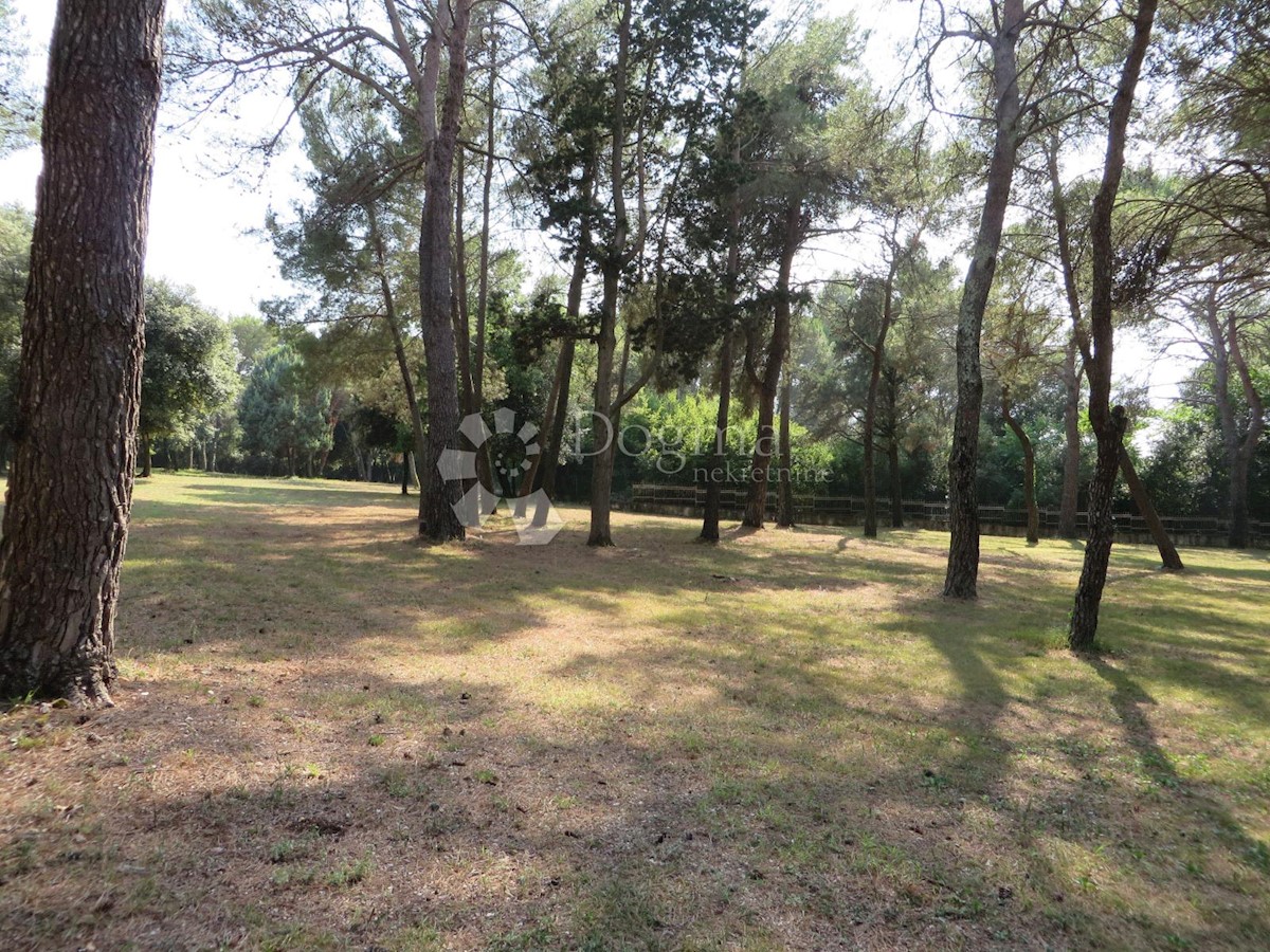 Terreno Rovinj, 12.050m2