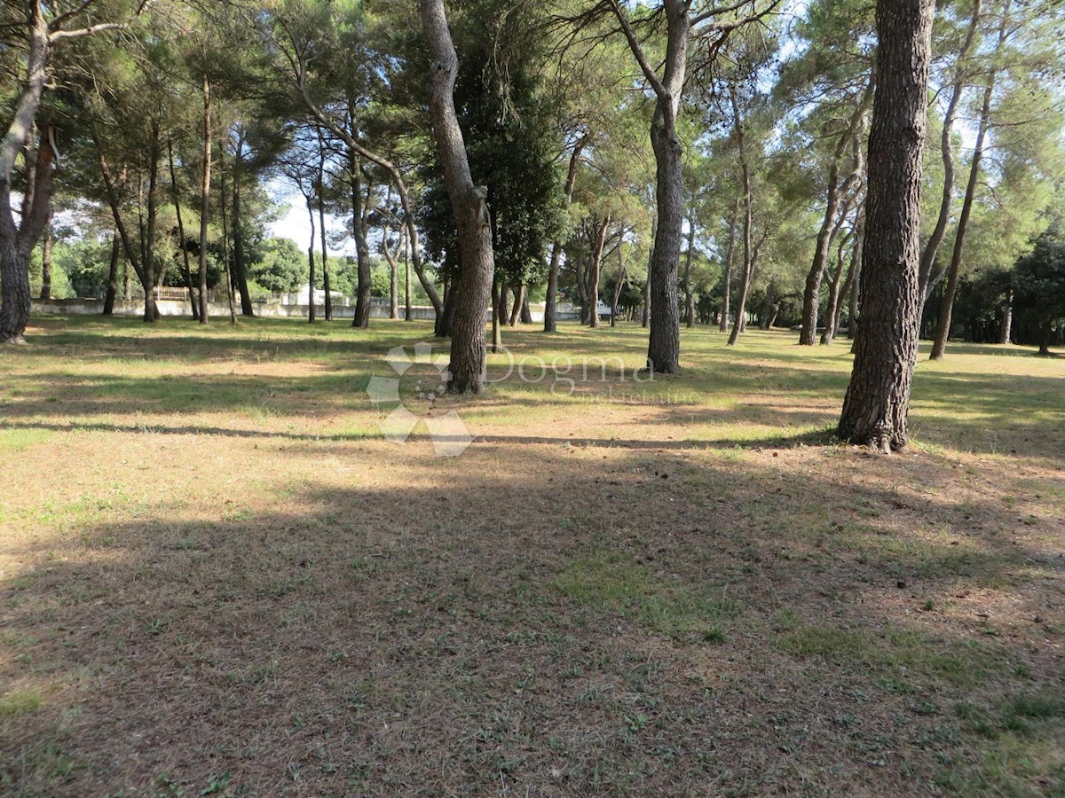 Terreno Rovinj, 12.050m2