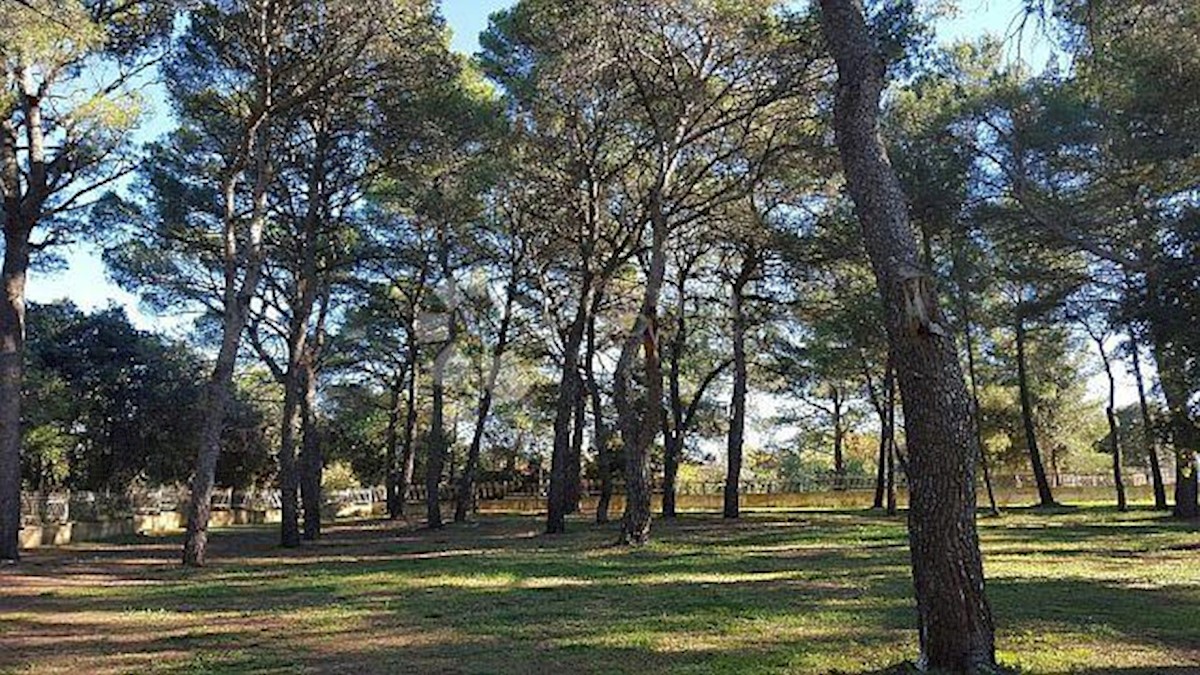 Terreno Rovinj, 12.050m2