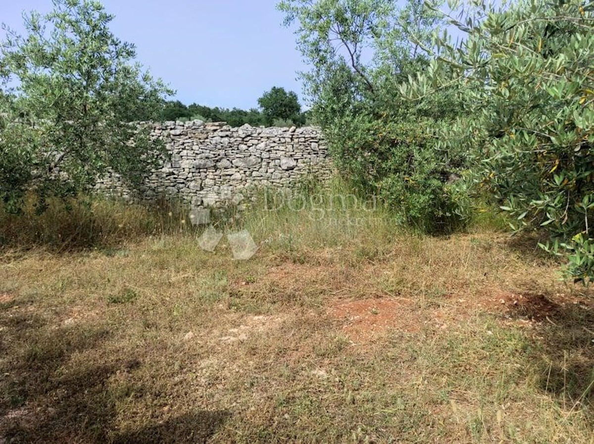 Casa Vodnjan, 227m2