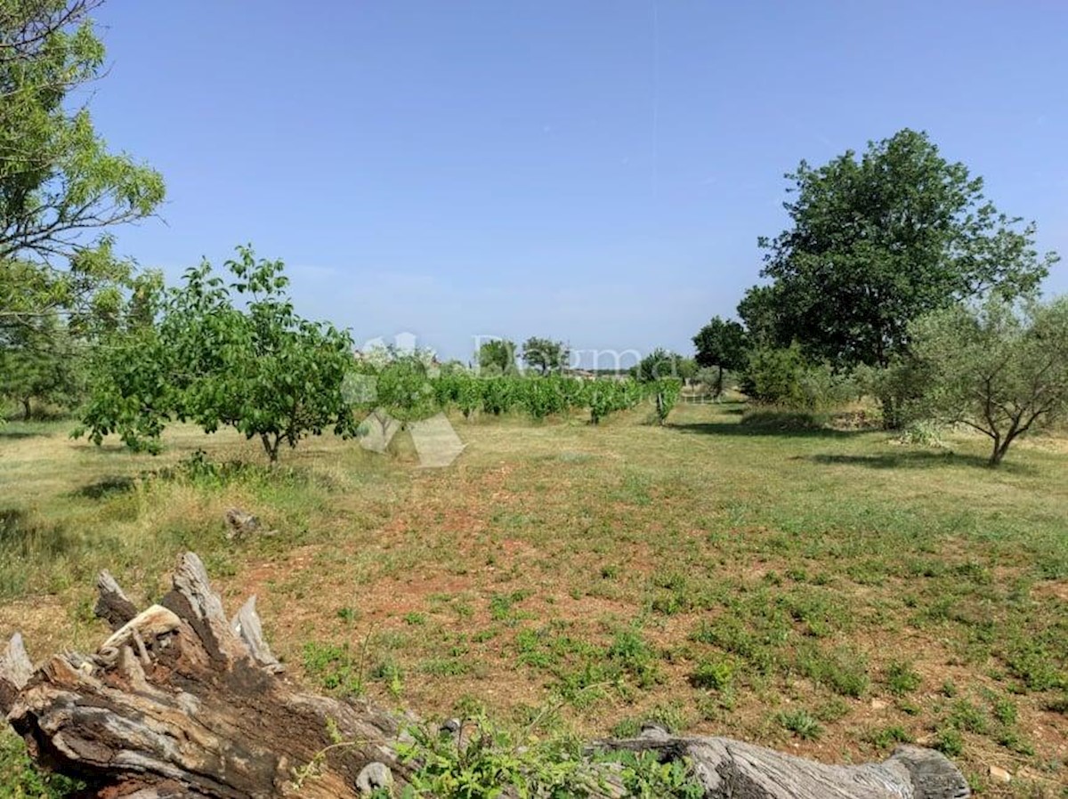 Casa Vodnjan, 227m2