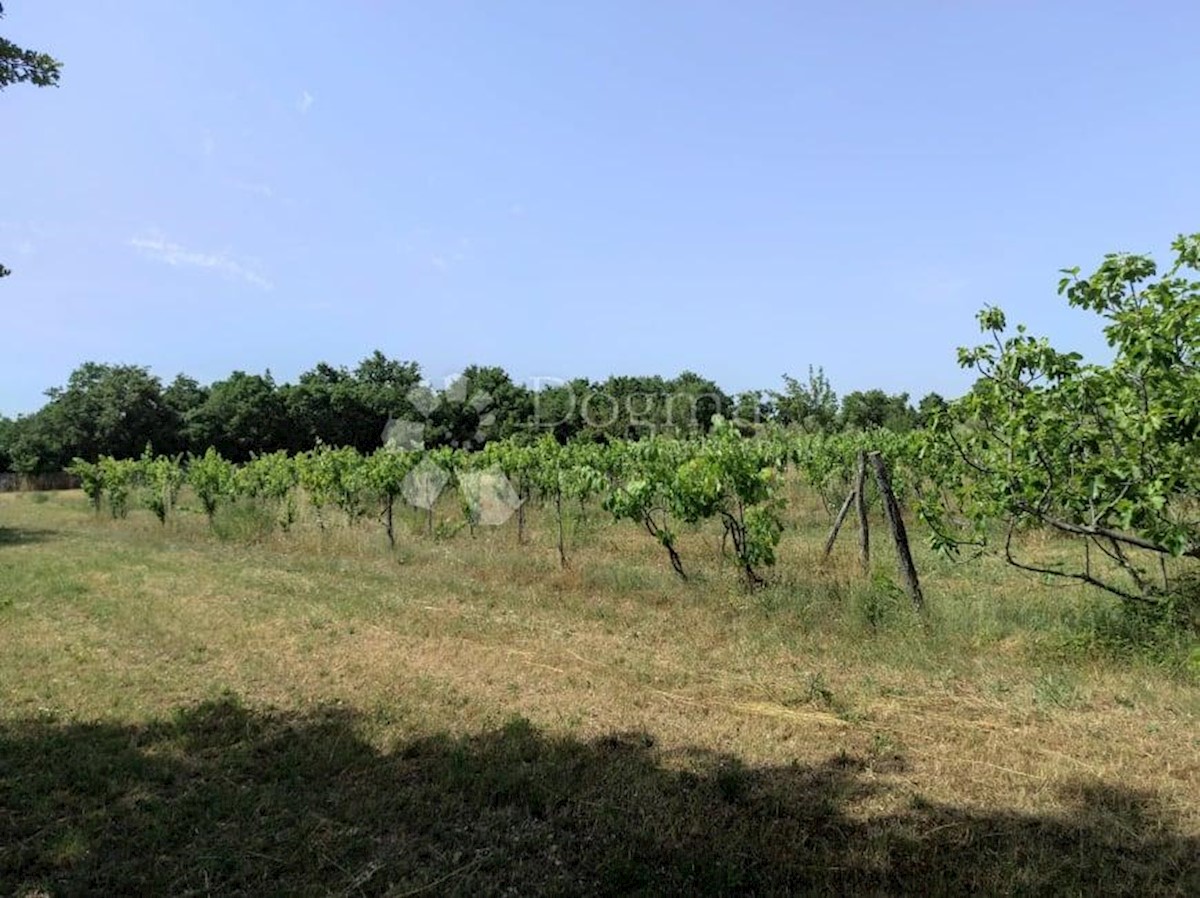 Casa Vodnjan, 227m2