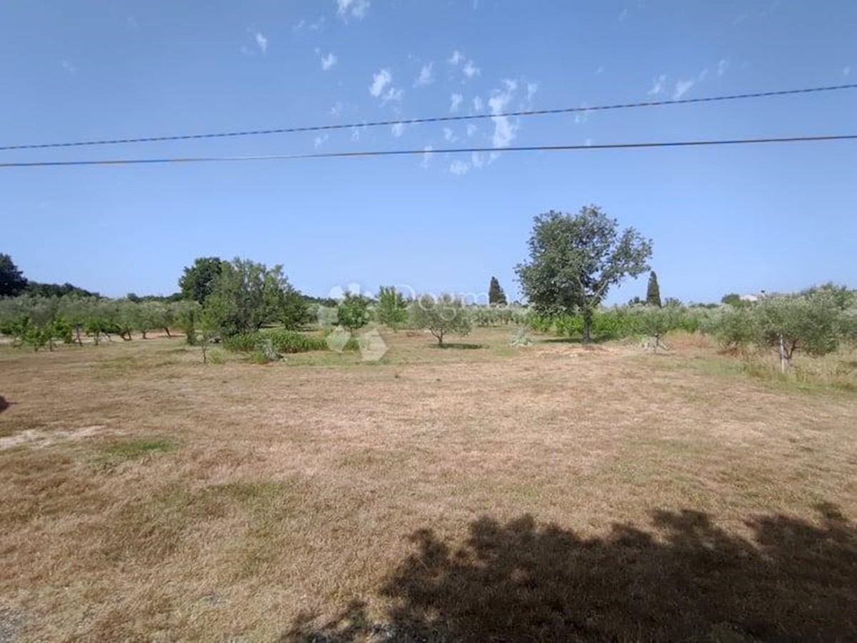 Casa Vodnjan, 227m2