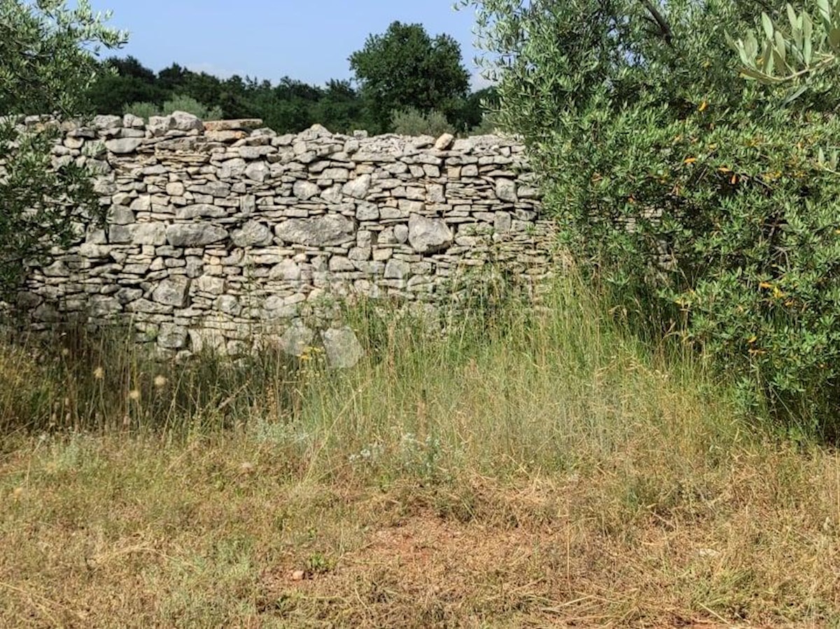 Casa Vodnjan, 227m2