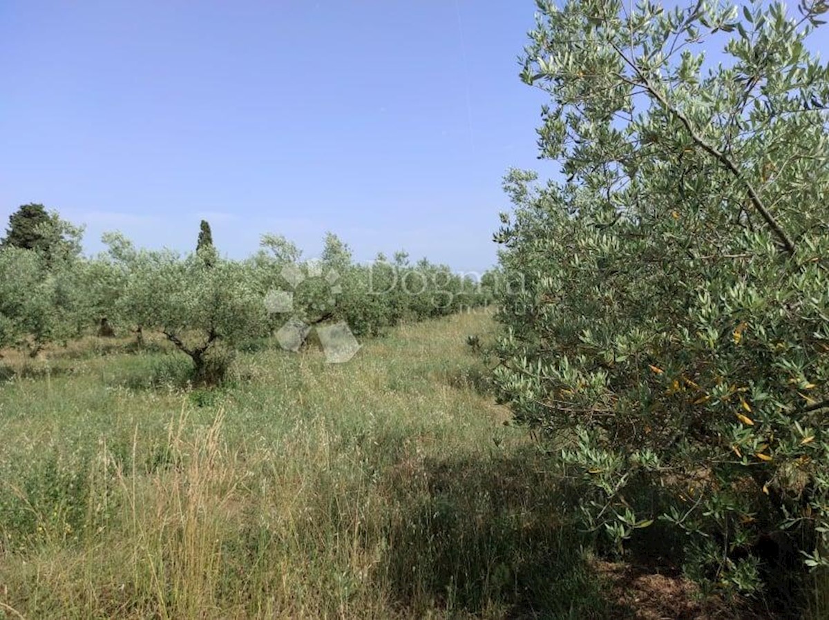 Casa Vodnjan, 227m2