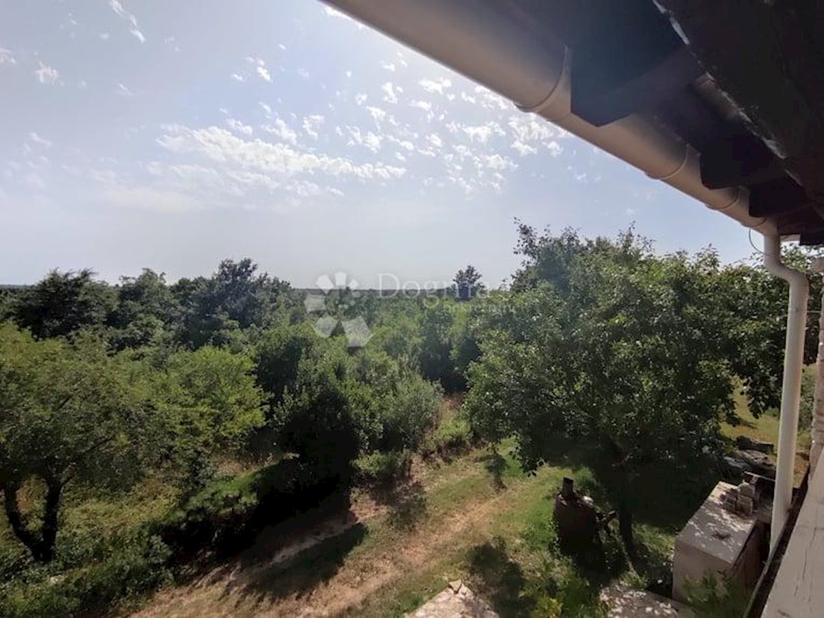 Casa Vodnjan, 227m2