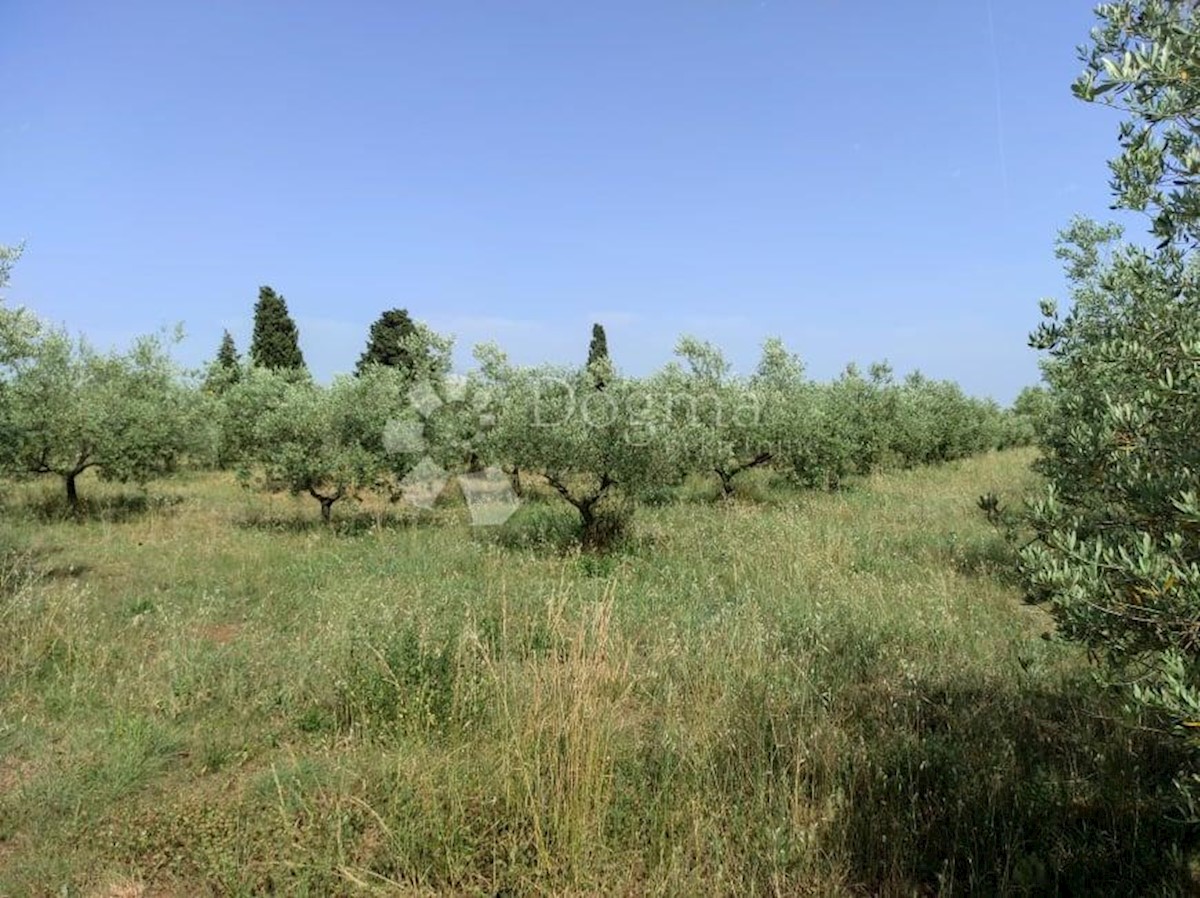 Casa Vodnjan, 227m2