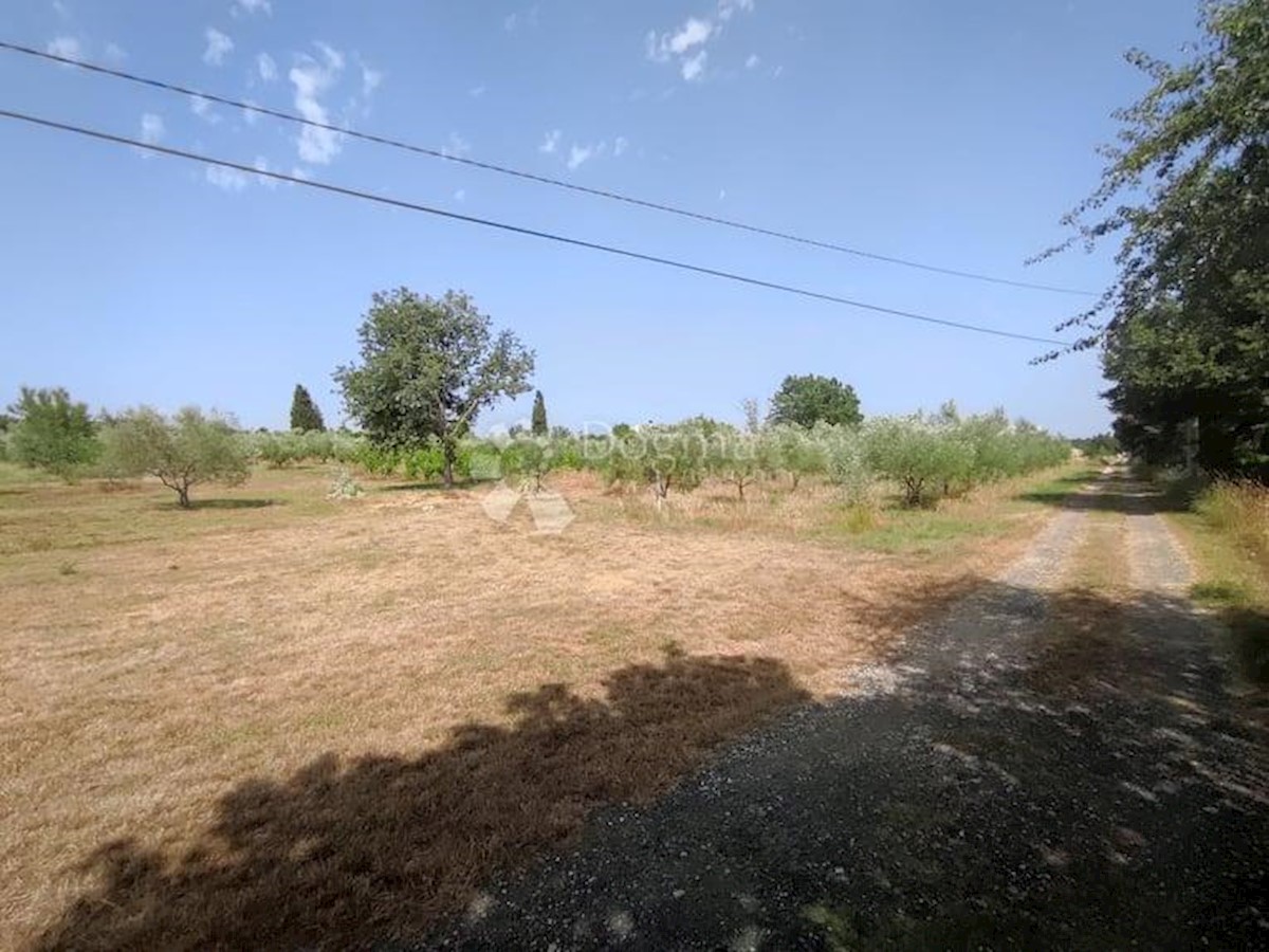 Casa Vodnjan, 227m2