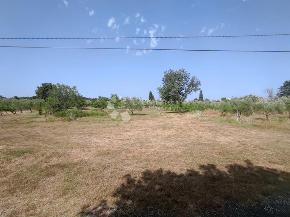 Casa Vodnjan, 227m2
