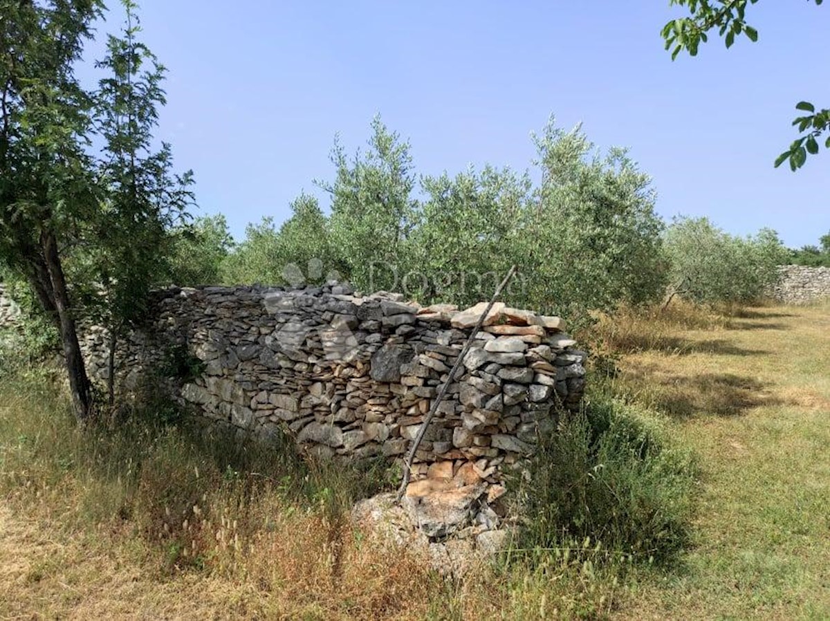 Casa Vodnjan, 227m2