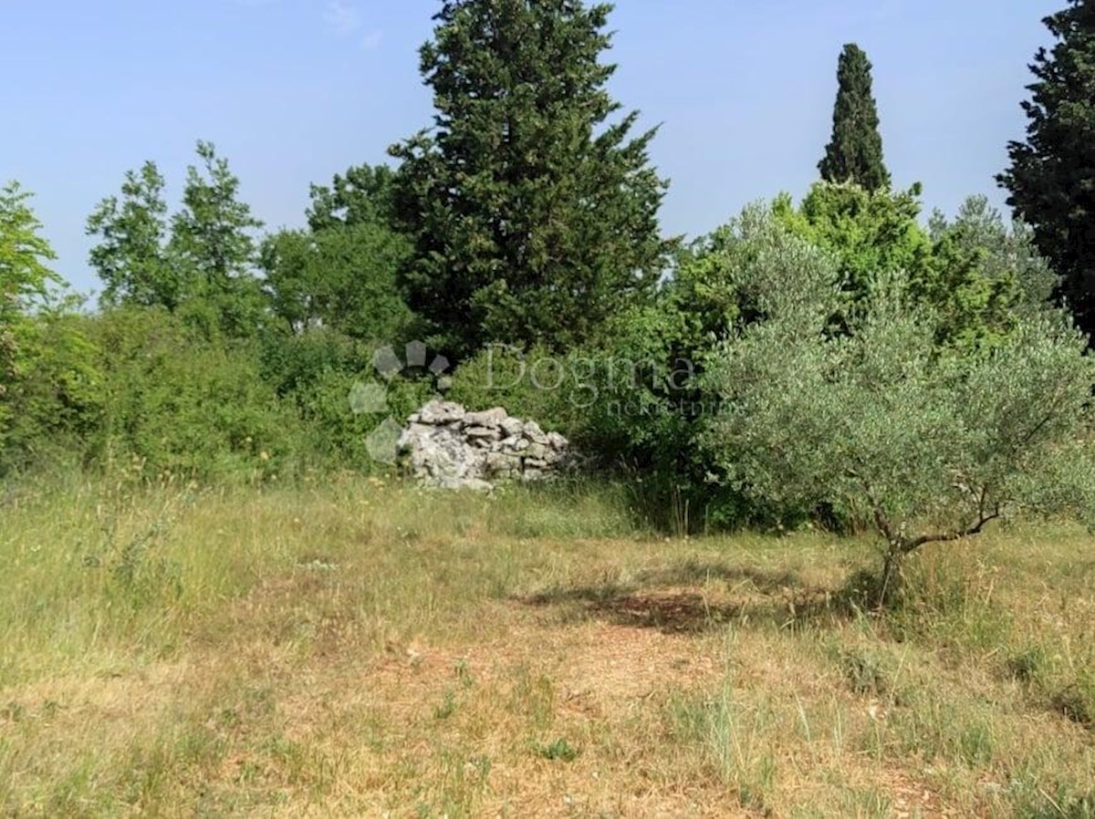 Casa Vodnjan, 227m2