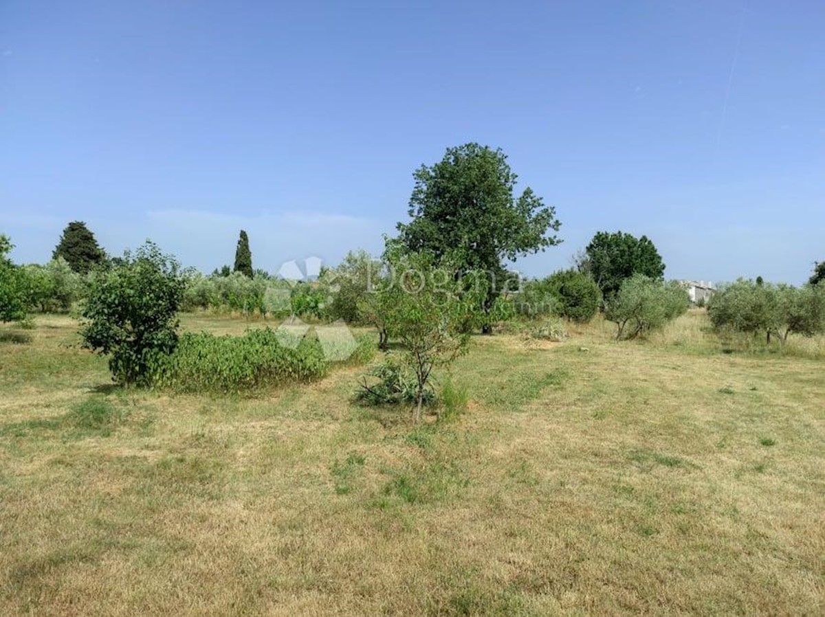 Casa Vodnjan, 227m2