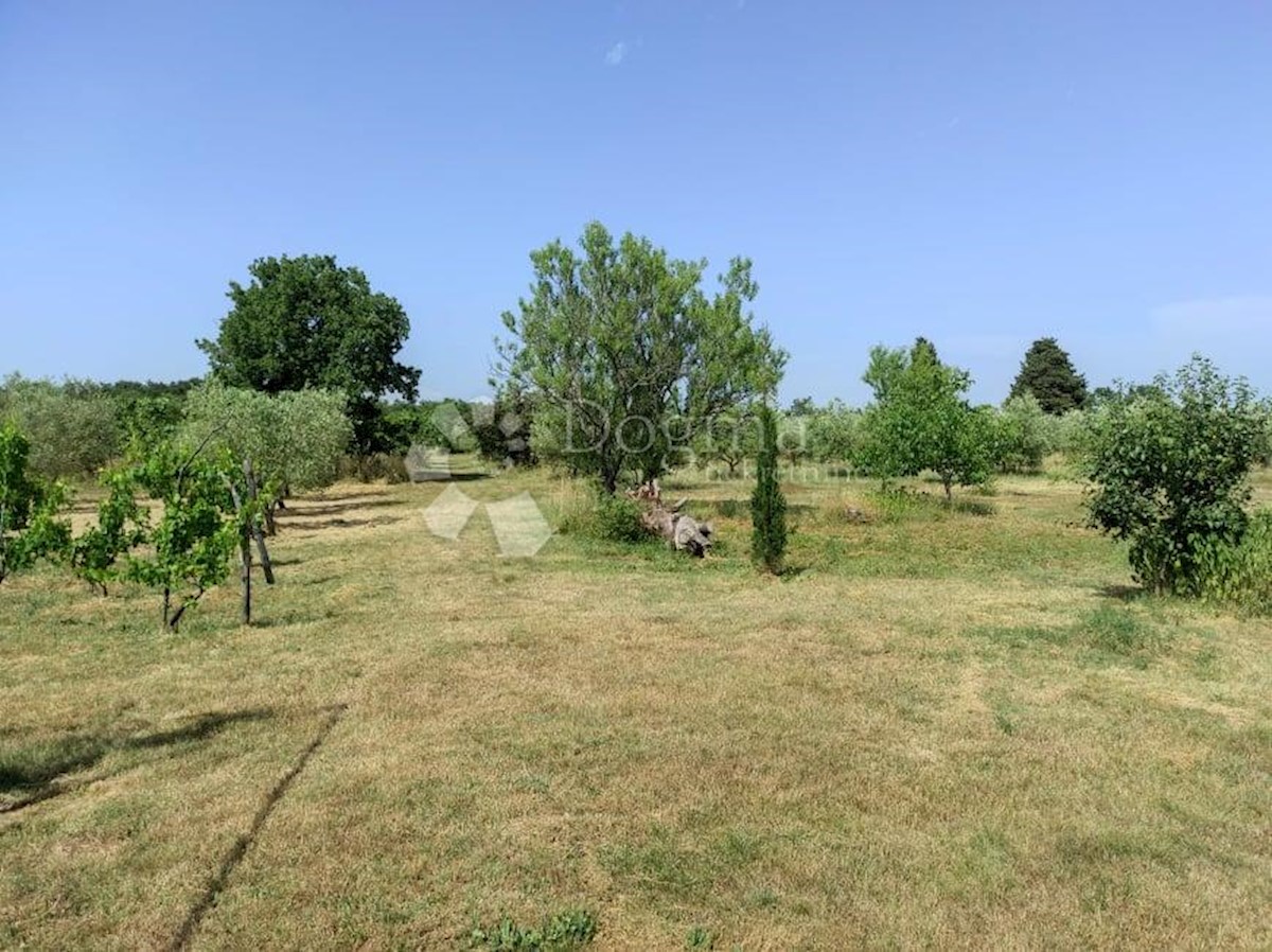 Casa Vodnjan, 227m2