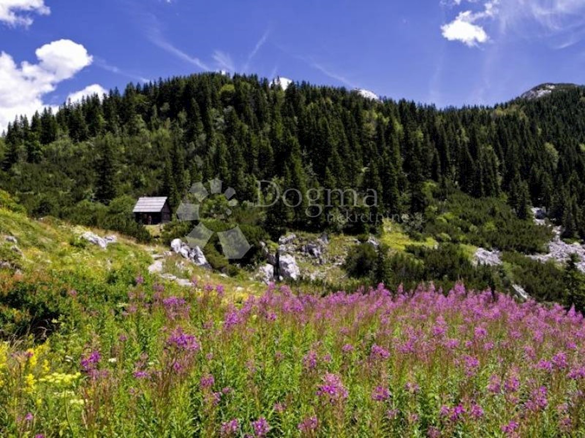 Casa Centar, Gospić, 117,21m2