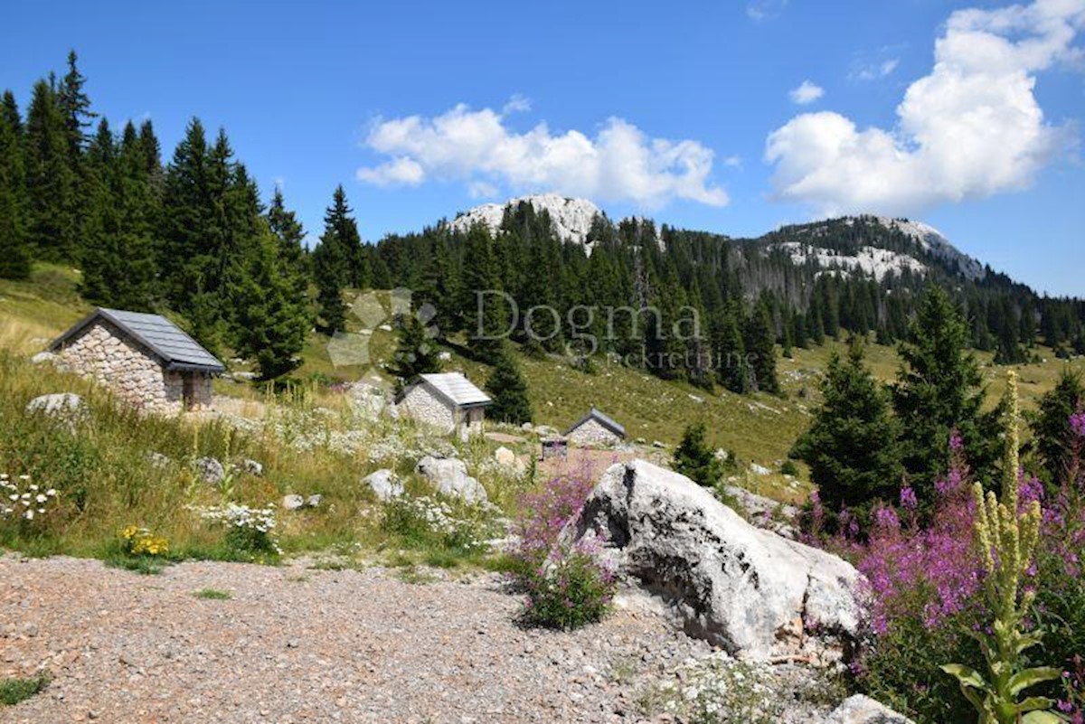 Casa Centar, Gospić, 117,21m2