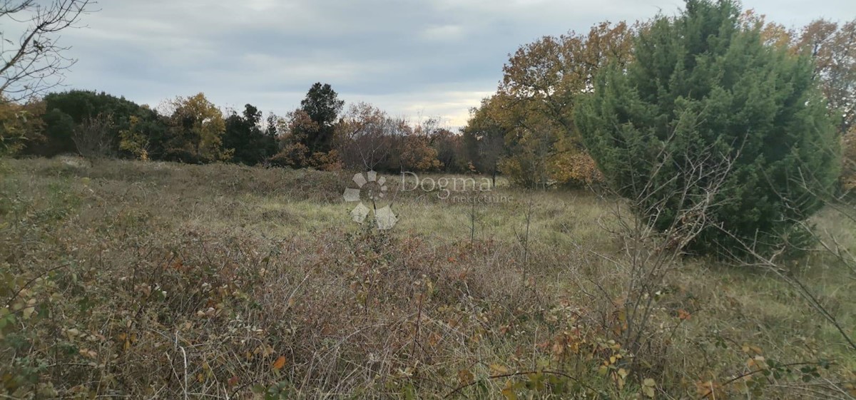 Terreno Valtura, Ližnjan, 11.273m2