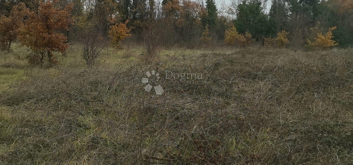 Terreno Valtura, Ližnjan, 11.273m2