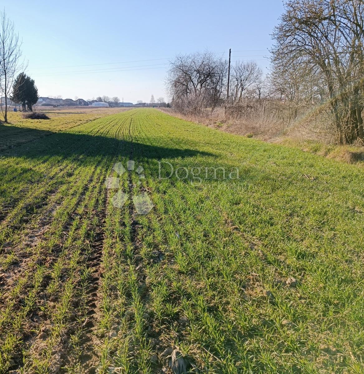 Terreno Staro Čiće, Velika Gorica - Okolica, Da, 3.168m2