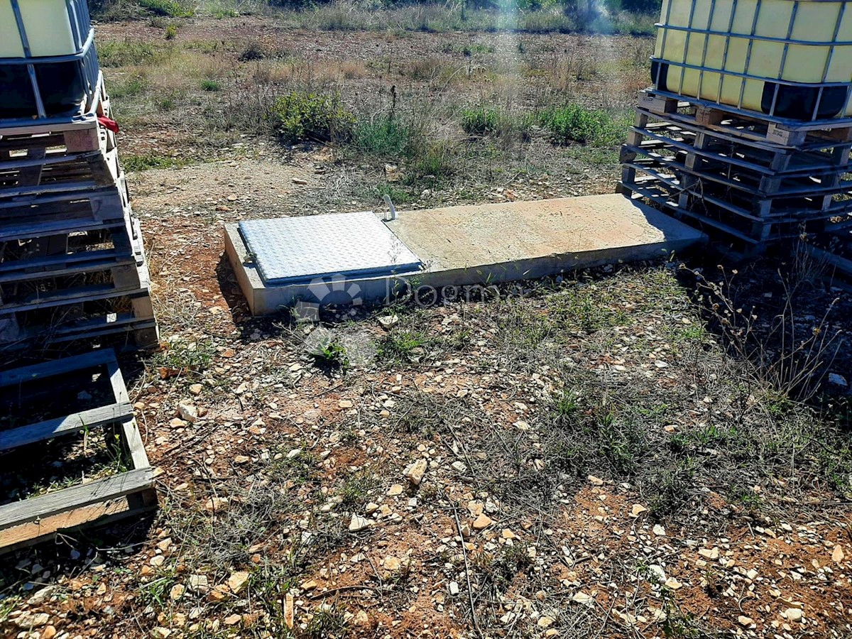 ESCLUSIVO SPAZIOSO TERRENO IN POSIZIONE TRANQUILLA