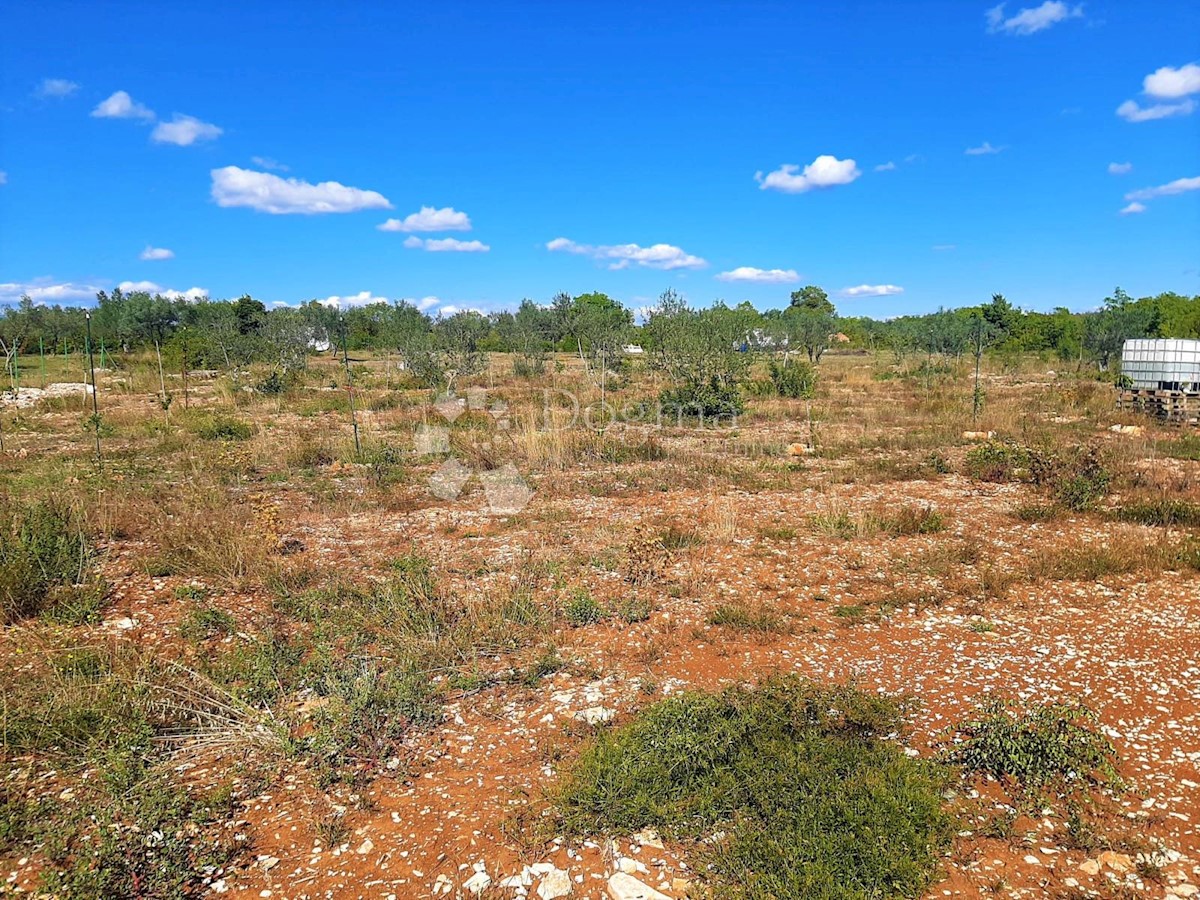 ESCLUSIVO SPAZIOSO TERRENO IN POSIZIONE TRANQUILLA