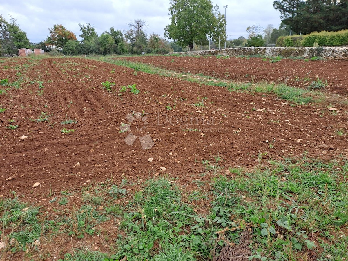 Terreno Sveti Petar u Šumi, Sveti Petar U Šumi, 2.950m2