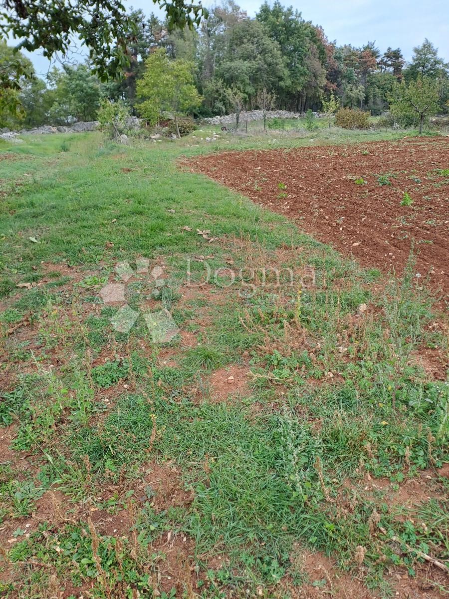 Terreno Sveti Petar u Šumi, Sveti Petar U Šumi, 2.950m2