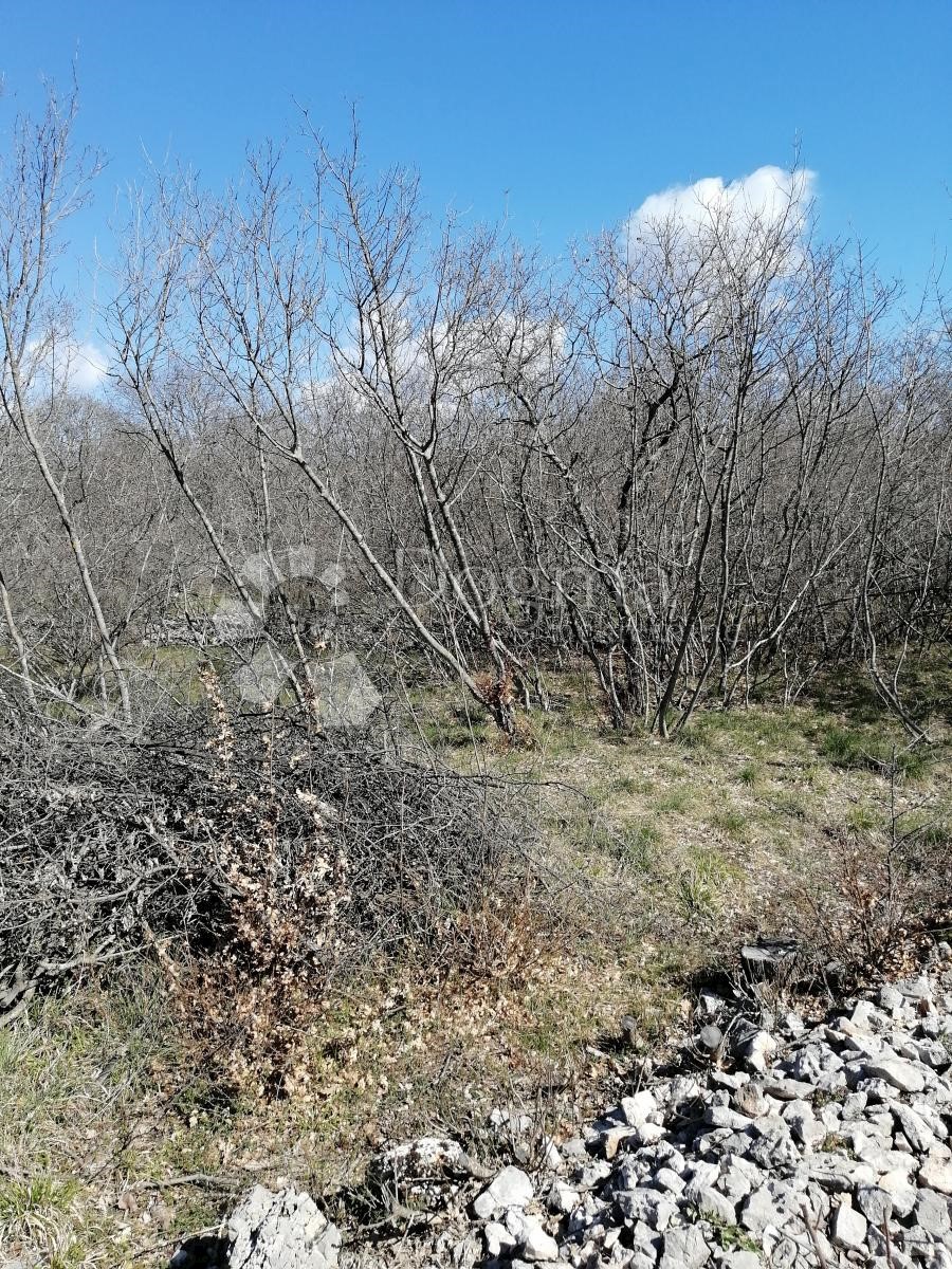 Terreno Garica, Vrbnik, 2.338m2