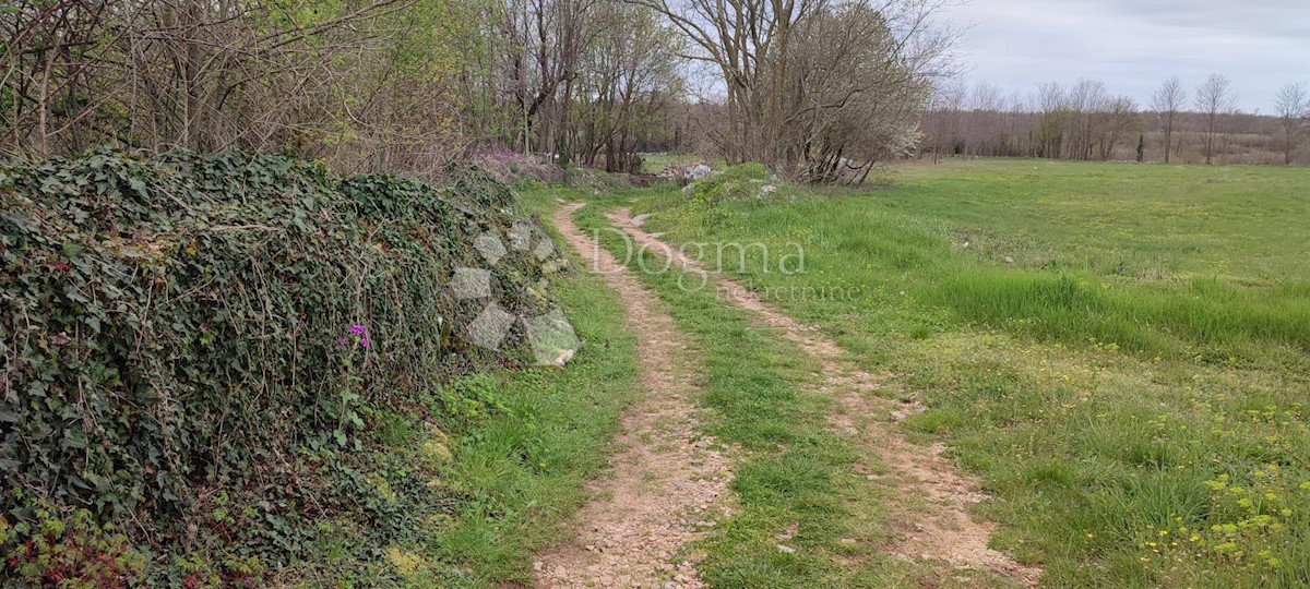 Terreno Žužići, Tinjan, 1.025m2