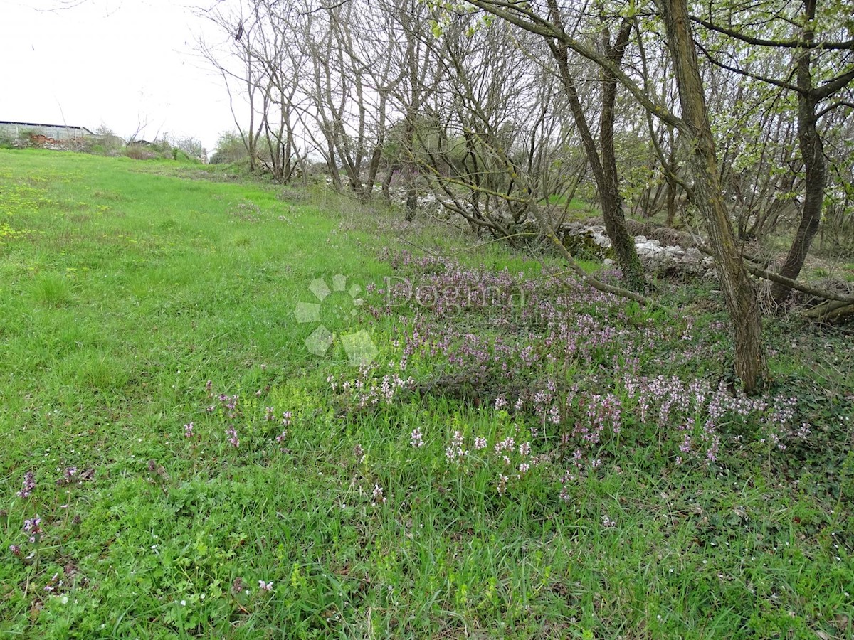 Terreno Žužići, Tinjan, 1.025m2