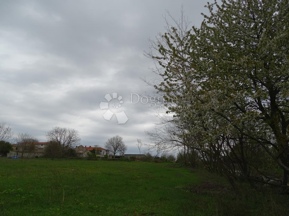 Terreno Žužići, Tinjan, 1.025m2