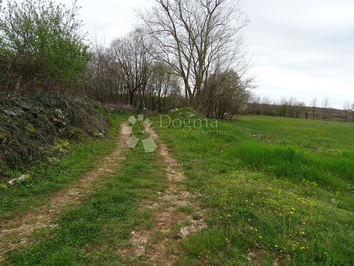 Terreno Žužići, Tinjan, 1.025m2