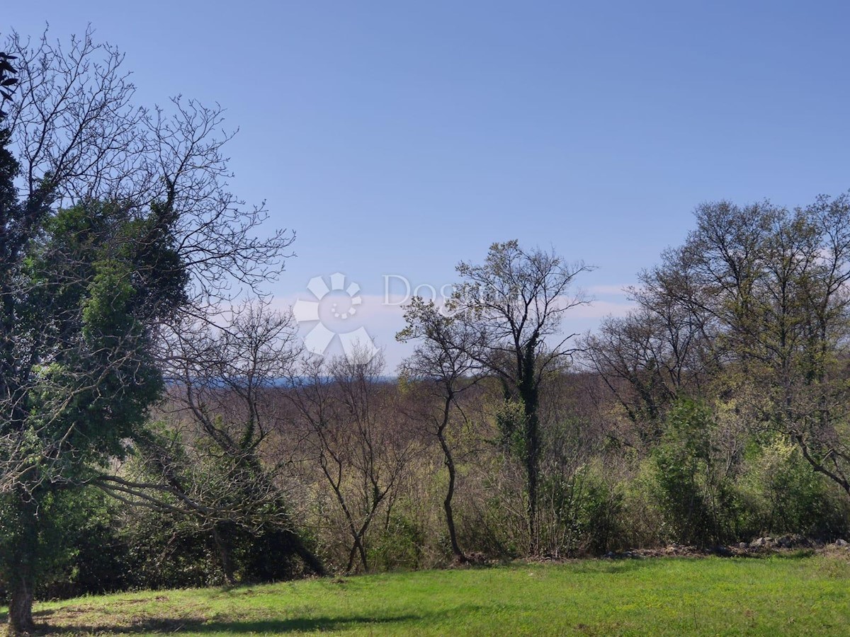 Terreno eccellente, vista mare, possibilità di costruire fino a 8 case