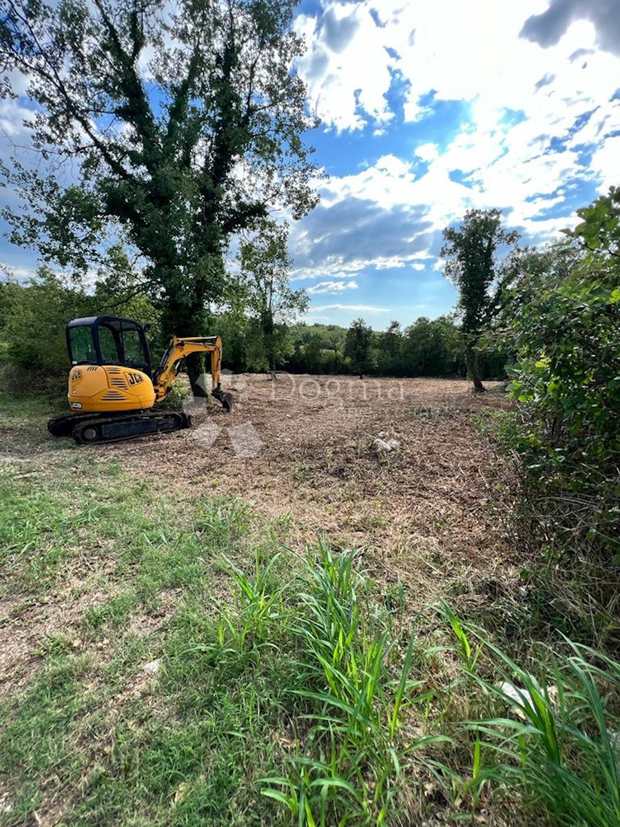 Terreno eccellente, vista mare, possibilità di costruire fino a 8 case