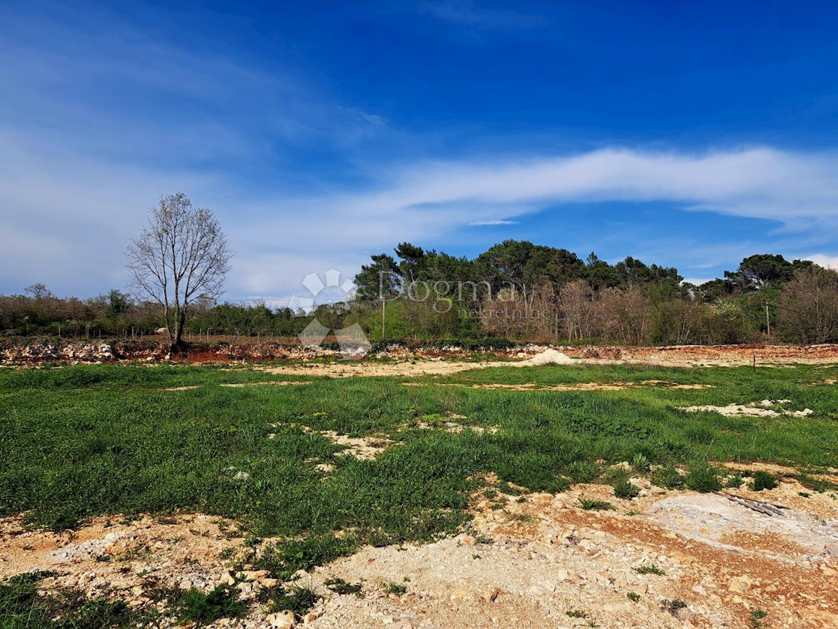 Terreno Vodnjan, 18.713m2