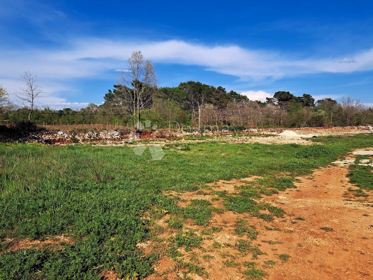 Terreno Vodnjan, 18.713m2