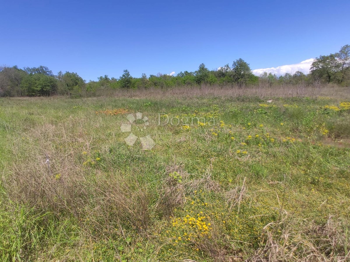 Terreno Tar, Tar-Vabriga, 4.343m2