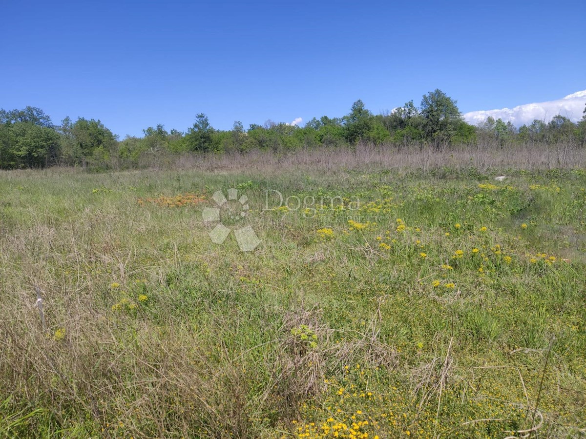 Terreno Tar, Tar-Vabriga, 4.343m2