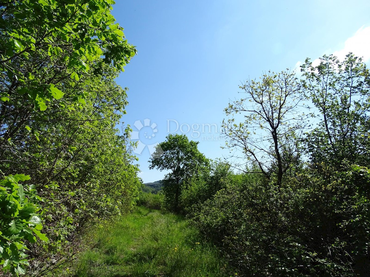Terreno Ročko Polje, Buzet, 3.524m2