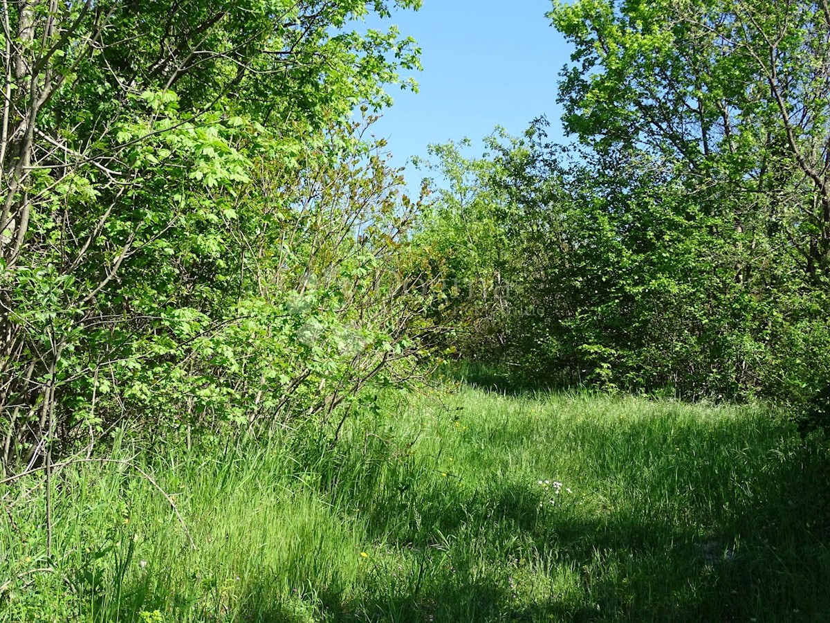 Terreno Ročko Polje, Buzet, 3.524m2
