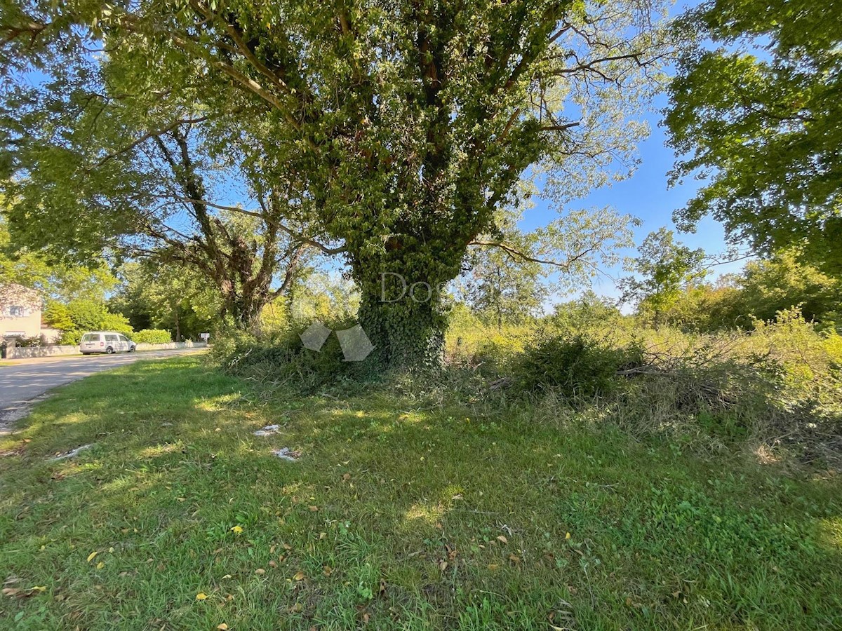 Ampio terreno edificabile di 1304 m²